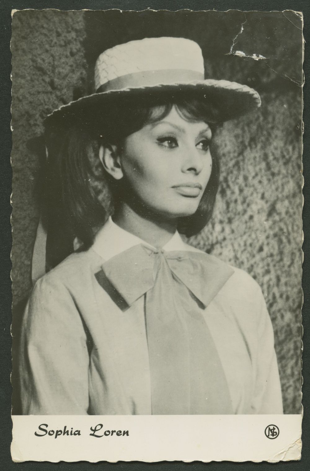 (image for) Sophia Loren #3241